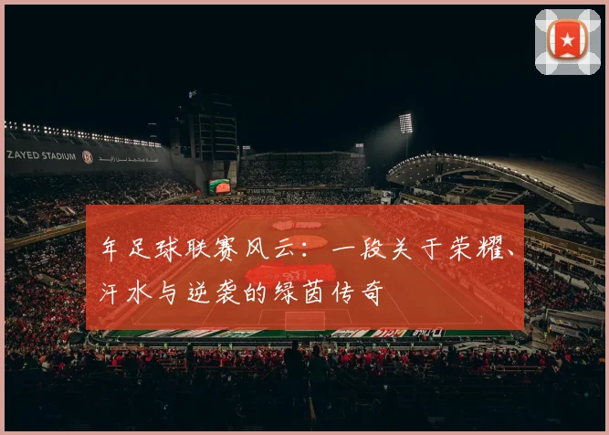 年足球联赛风云：一段关于荣耀、汗水与逆袭的绿茵传奇