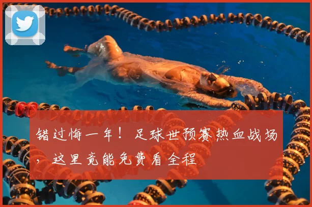 错过悔一年！足球世预赛热血战场，这里竟能免费看全程
